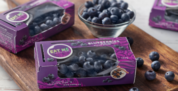 Berries Pride presents new sustainable blueberry packaging