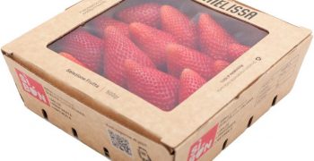Coop Sole launches new SiBon 500g packaging