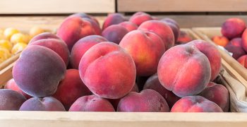 Smaller Spanish stone fruit crop forecast