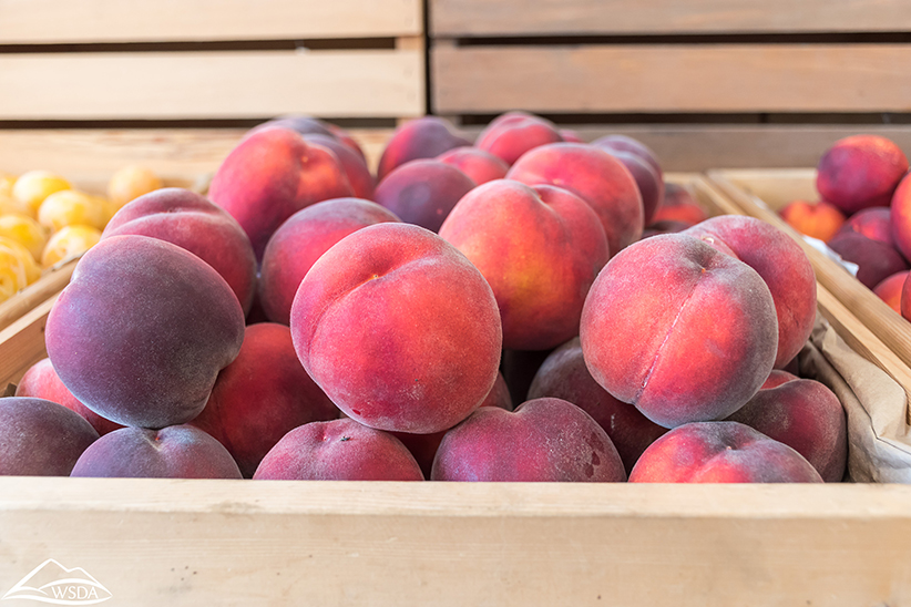 Smaller Spanish stone fruit crop forecast