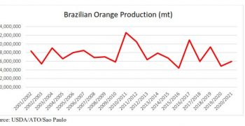 Larger Brazilian orange crop expected despite adverse weather