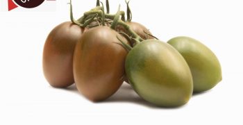 TOMACHOC®, the Top Seeds International chocolate tomato range