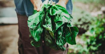 Made in Nature promotes quality of organic Made in Italy fruit and vegetables