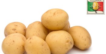 For the first time, Portuguese potatoes reach consumers with the Miss Tata brand