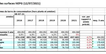 The 2021 harvest will depend more on production per ha than lower planted area.