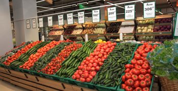 Russia’s winter vegetable production up 8.4%