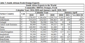 South African citrus continues its ascent