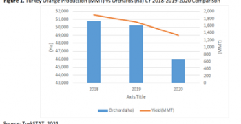 Turkish orange crop shrinks 23%