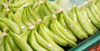 Ecuador ships fewer bananas in 2021