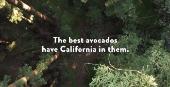 California avocados take a road trip