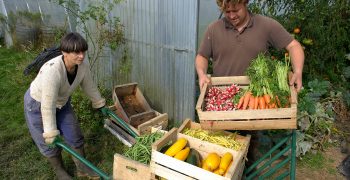 EU study shows benefits of ambitious green farming requirements