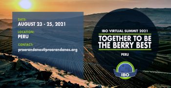 Peru to host the IBO Summit 2021