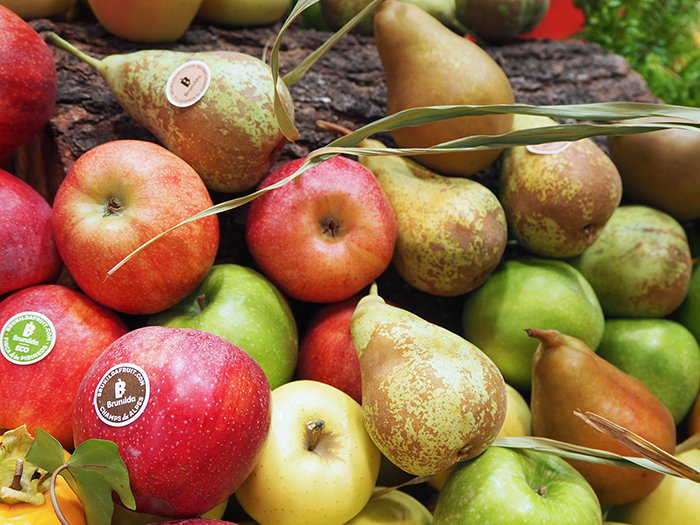 Brunilda Fruit, apples and pears