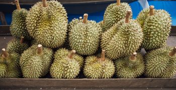Traces of Covid on durian packages imported from Thailand