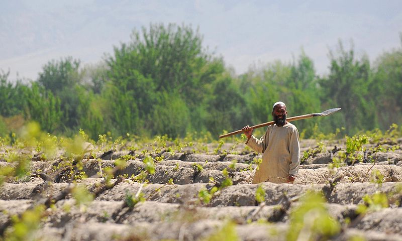 A farmer works in the fields