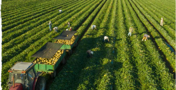 Del Monte announces progress towards long-term sustainability goals