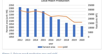 Taiwan’s peach production on the rise