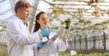 A unique careers fair for the fresh produce, cut flower and related sectors!