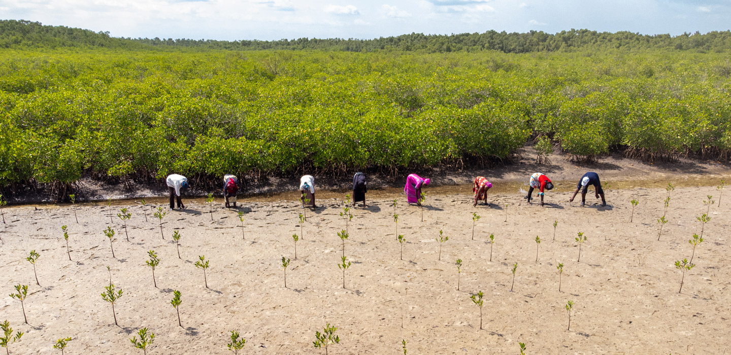 © IFAD/Ibrahima Kebe Diallo