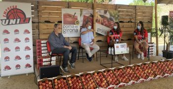 Girona expects 16% larger apple crop