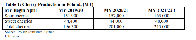 Poland expects larger cherry crop 