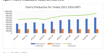Turkey’s stone fruit crops contract due to spring frosts