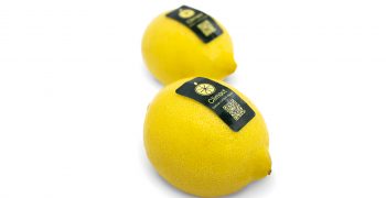 Climact: first carbon neutral lemons are produced in Spain