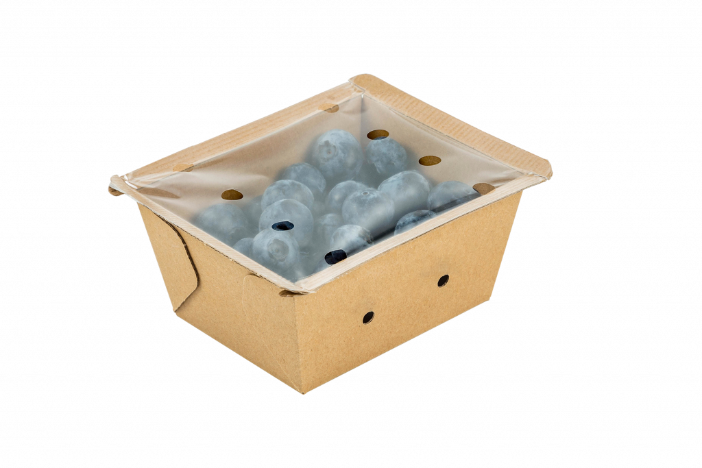 Blueberries from Spain in a sustainable packaging. Copyright: Bionest.