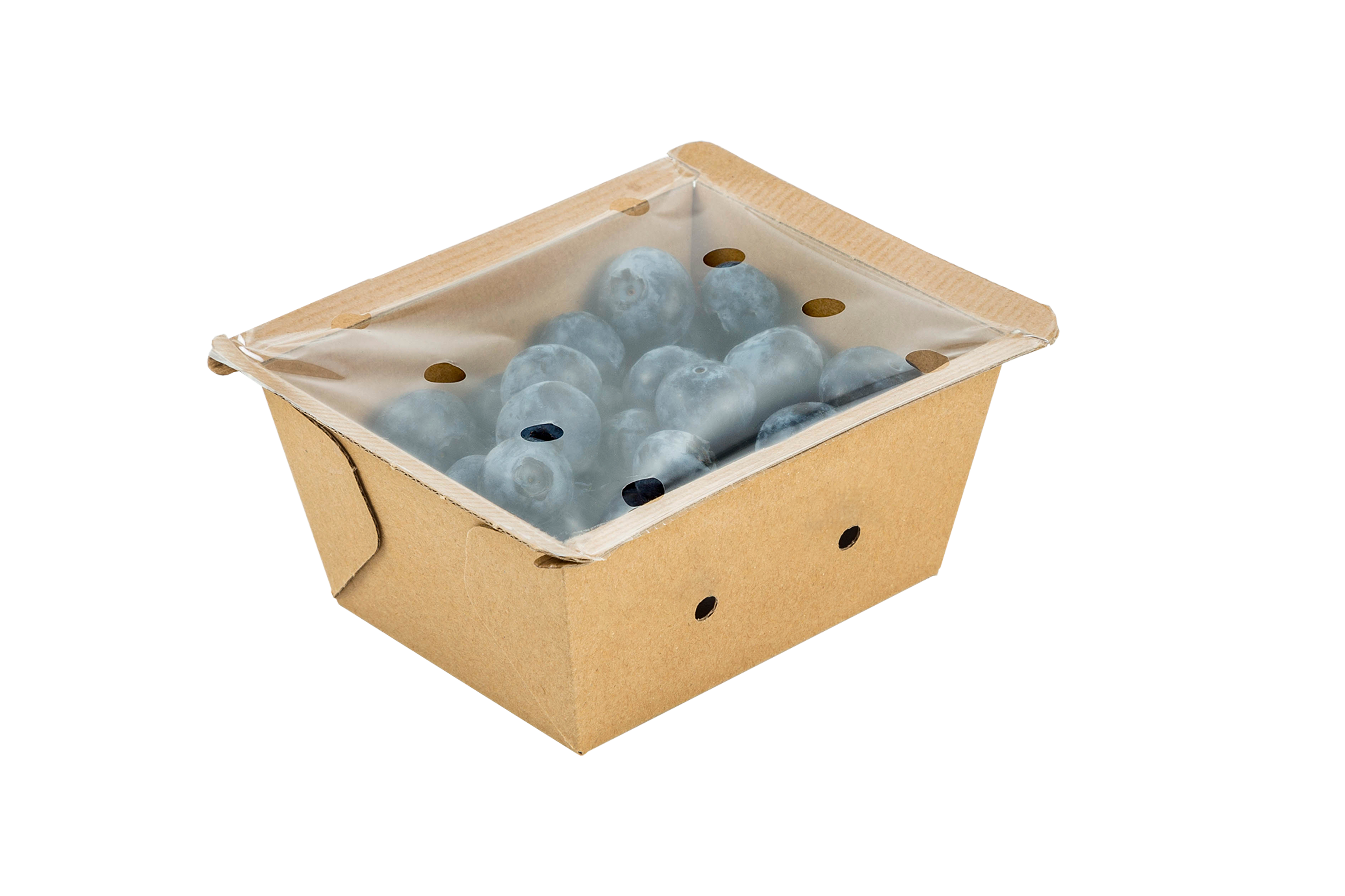 Blueberries from Spain in a sustainable packaging. Copyright: Bionest.