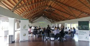 Corpohass establishes the first National Board of Hass Avocado Exporters of Colombia