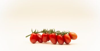 Top Seeds International launches Fanello, its first mini-plum tomato