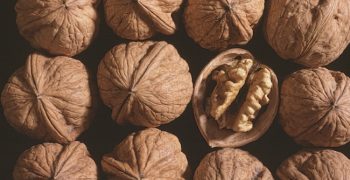 China’s walnut production to rise in coming years
