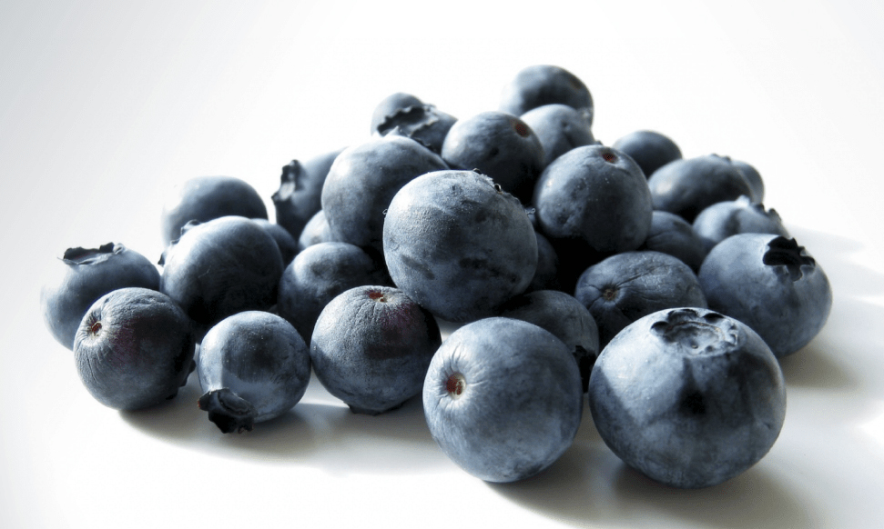 Picture of blueberries. Copyright: Atlantic Blue.