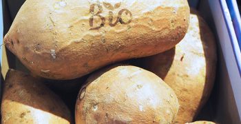 UK retailers commit to sustainable spuds