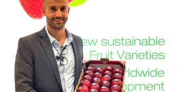 CIV grows on the Iberian market: New strawberry variety ready for Huelva