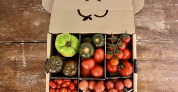 The Tomato Selection from La Caja Saludable is now available