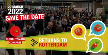 Let´s meet again in person. Global Tomato Congress is back in Rotterdam