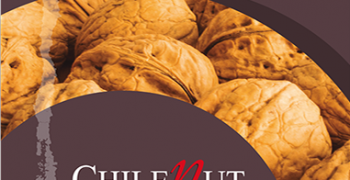 EXPONUT to bring together Chilean walnut sector