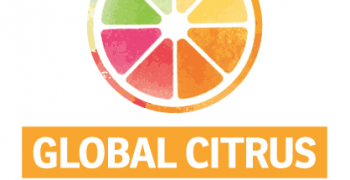 WCO to host Global Citrus Congress 