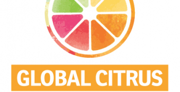WCO to host Global Citrus Congress