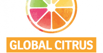 Preparations towards second edition of Global Citrus Congress in full speed