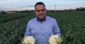 Focus on cauliflower with the European project FRUVENH of AOP Gruppo Vi.va