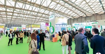 SHAFFE to seek closer ties with China at Shanghai Fruit Expo