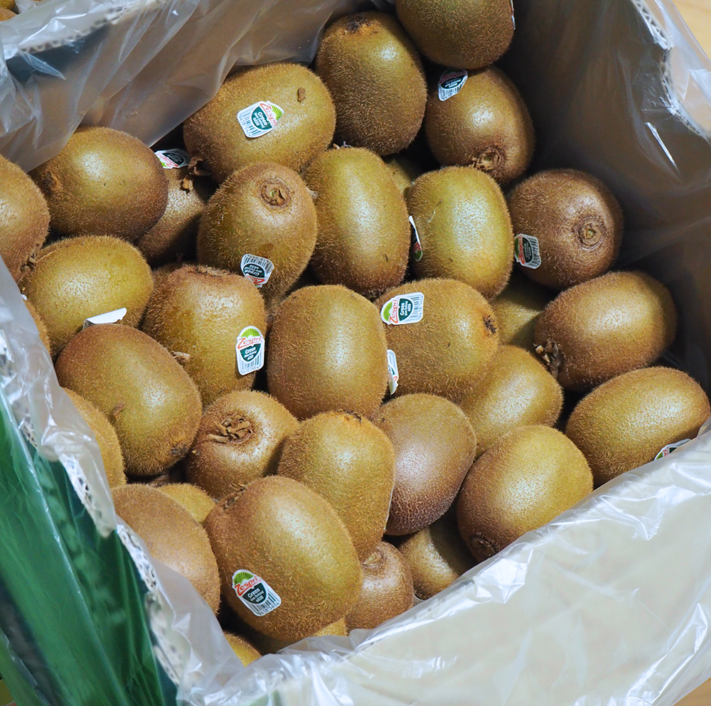 Zespri's kiwis at Fruit Attraction. Copyright: Alexandra Sautois, Eurofresh Distribution.