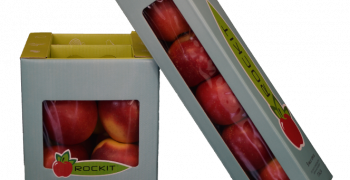 New Zealand Rockit® apple exports to China grow by 45%