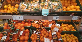 Consum pledges support for Valencian citrus