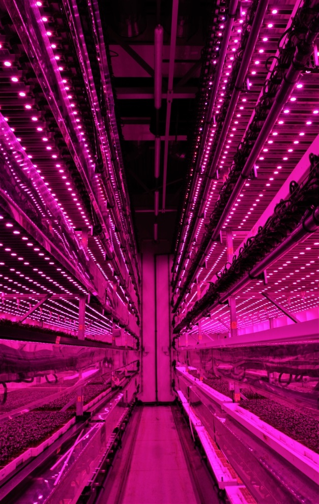 Future Crops vertical farm 2