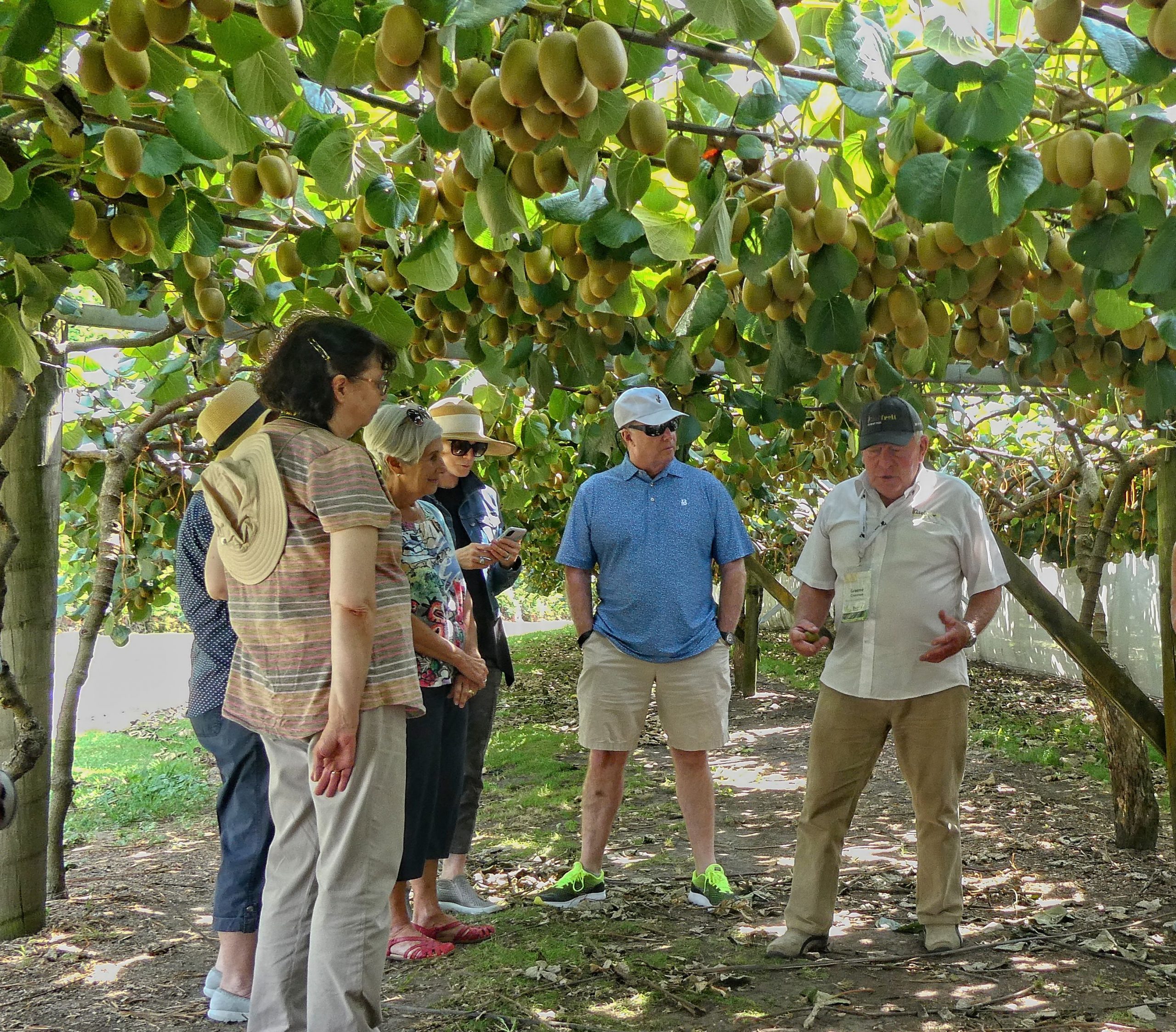 New Zealand's kiwi orchard (Paengaroa), demonstration. Copyright: Jim & Robin Kunze. Source: Flickr.