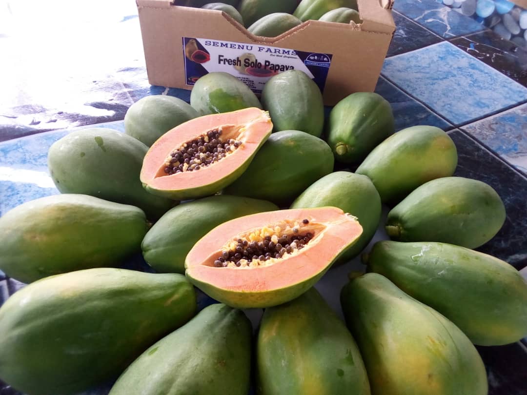 Papayas from Ghana.