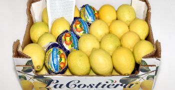 La Costiera expects good campaign for Primofiore lemon and bergamot